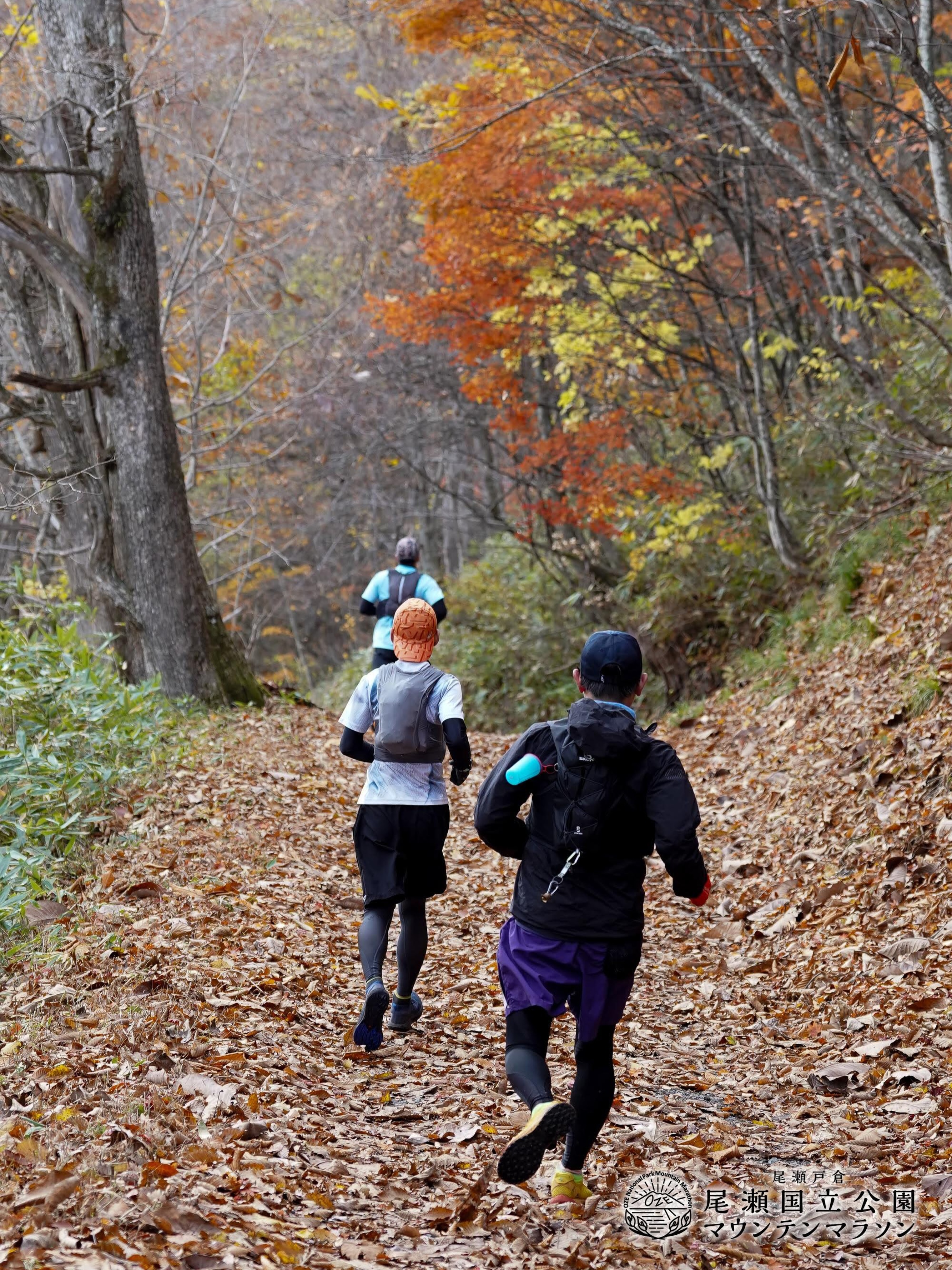 .
現在エントリー受付中のレースはこちら⛰️

🩵尾瀬戸倉 尾瀬国立公園マウンテンマラソン
◼︎開催日：2026年10月25日（日）
◼︎スタート会場：群馬県片品村 尾瀬戸倉スキー場
🔗 https://oze-nationalpark-marathon.com/
◼︎カテゴリー：
　ロング(21k)
　ミドル(10k)
　ショート(5k)
　キッズ
◼︎募集期間：
　早割(〜8/15)
　通常(8/16〜9/30)
　直前(10/1〜10/14) 
　※キッズレースは期間による変動なし

#トレイルランニング
#スカイランニング