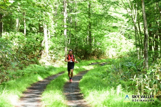 .
⚠️エントリー締切まであと2日⚠️

片品村の山を駆け巡る🏃‍♀️🌿
OZEIWAKURA SKYVALLEY

🪽第11回 OZEIWAKURA SKYVALLEY
https://ozeiwakura-skyvalley.com
開催日：7月5日(土)・6日(日)

本大会は2015年に片品村初のスカイランニングレースとして開催されました。“片品村から世界へ”と想いを込めて世界基準のコースを設定。これまで、スカイランニング日本選手権やユース世界選手権選考会にもなっていたため、多くのトップランナーも登っています。世界と戦うトップ選手と自分のタイムを比較できるのも、この大会の特徴です。

コースの途中には『ジャイアントウォール』と名付けられた、斜度が45度を超える急峻な壁があり、大会の名物になっています。また、キッズレースは毎年100名程が参加。観客も大興奮してしまう子供たちの走りにも注目です。幅広いレベル方に楽しんでもらえるよう、7km・15km・30kmの3種目があります。

＊＊＊＊＊＊＊＊＊＊

是非ご参加お待ちしております！

#ozeiwakuraskyvalley 
#katashinamountainsseries
#skyrunning 
#trailrunning 
#尾瀬岩鞍
#片品村
#トレイルラン
#トレラン 
#トレイルランニング
#スカイランニング 
#ランニング