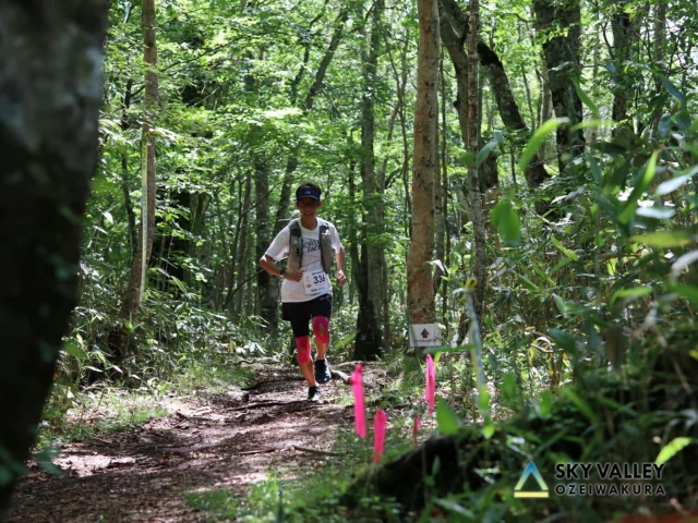 .
⚠️エントリー終了まで後2日！⚠️

片品村の山を駆け巡る🏃‍♀️🌿
OZEIWAKURA SKYVALLEY

🪽第11回 OZEIWAKURA SKYVALLEY
https://ozeiwakura-skyvalley.com
開催日：7月5日(土)・6日(日)

本大会は2015年に片品村初のスカイランニングレースとして開催されました。“片品村から世界へ”と想いを込めて世界基準のコースを設定。これまで、スカイランニング日本選手権やユース世界選手権選考会にもなっていたため、多くのトップランナーも登っています。世界と戦うトップ選手と自分のタイムを比較できるのも、この大会の特徴です。

コースの途中には『ジャイアントウォール』と名付けられた、斜度が45度を超える急峻な壁があり、大会の名物になっています。また、キッズレースは毎年100名程が参加。観客も大興奮してしまう子供たちの走りにも注目です。幅広いレベル方に楽しんでもらえるよう、7km・15km・30kmの3種目があります。

＊＊＊＊＊＊＊＊＊＊

是非ご参加お待ちしております！

#ozeiwakuraskyvalley 
#katashinamountainsseries
#skyrunning 
#trailrunning 
#尾瀬岩鞍
#片品村
#トレイルラン
#トレラン 
#トレイルランニング
#スカイランニング 
#ランニング